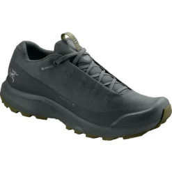 Arcteryx Men's Aerios FL GTX Shoe